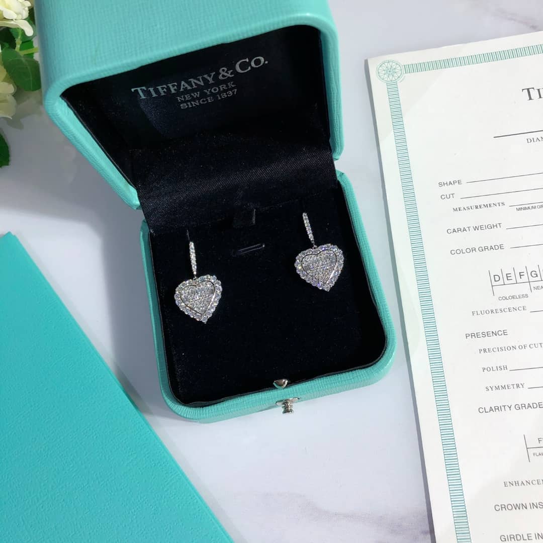 Luxury T*f*ny Classic AAA+ Earring