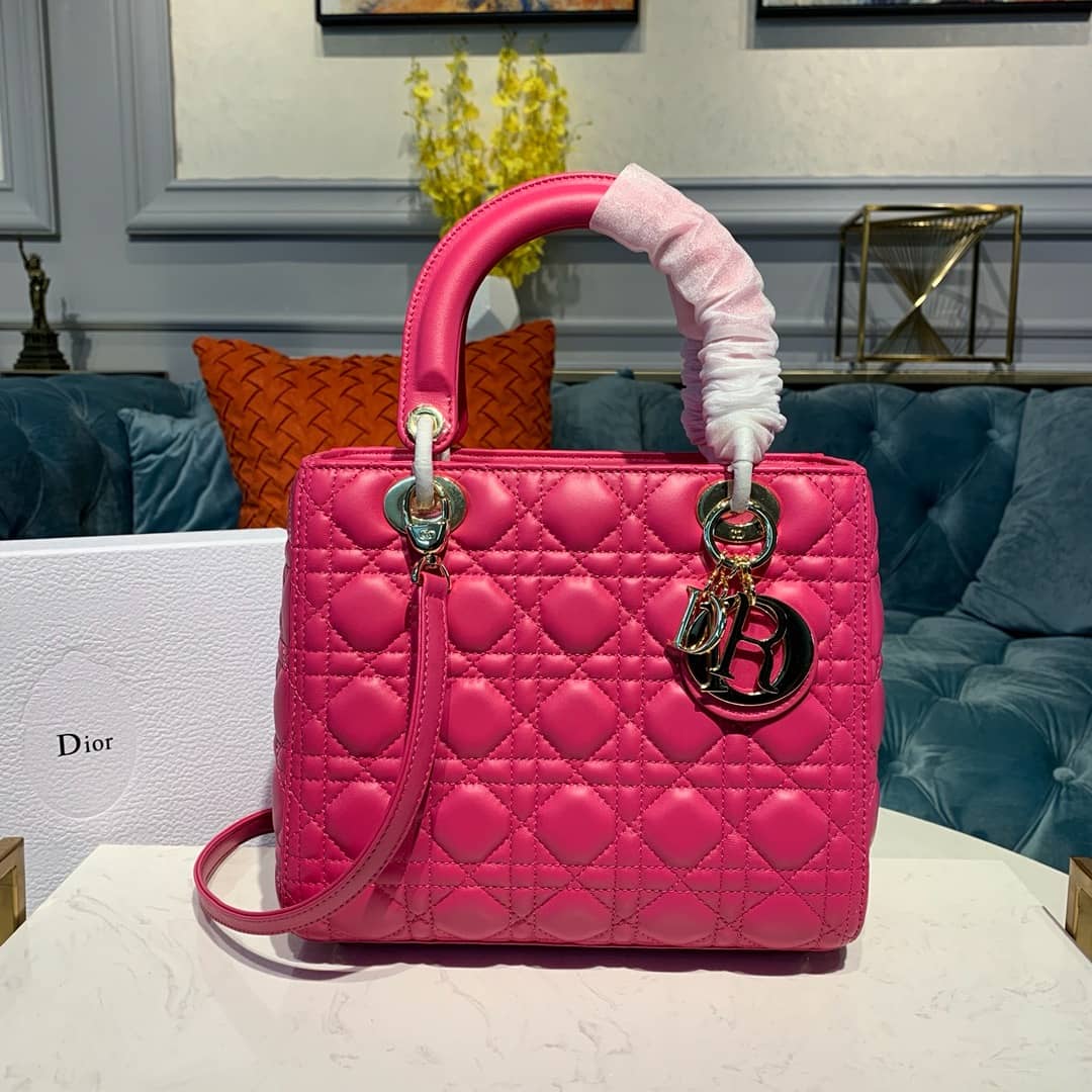 Chr1st1an D10r Lady D10r 24CM Replica Bag