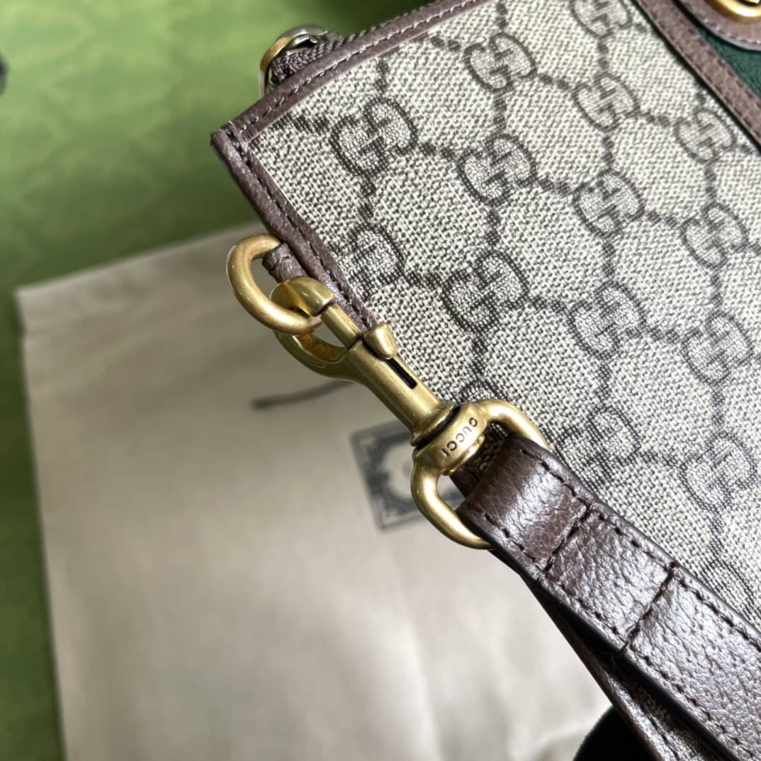 Gvc*1 Ophidia SS Pouch With Web Replica 672989