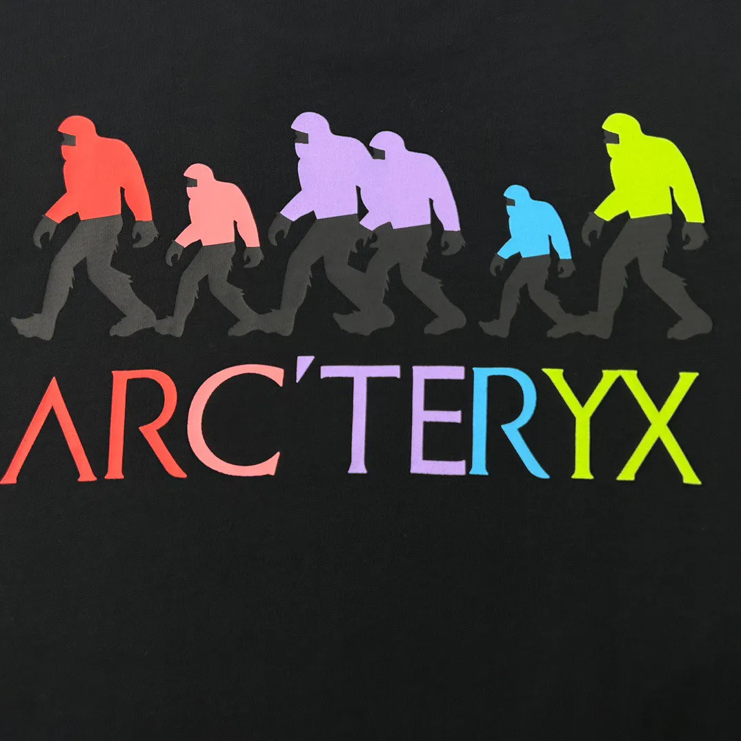 Arcteryx T Shirt