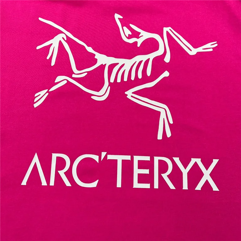 Arcteryx T Shirt
