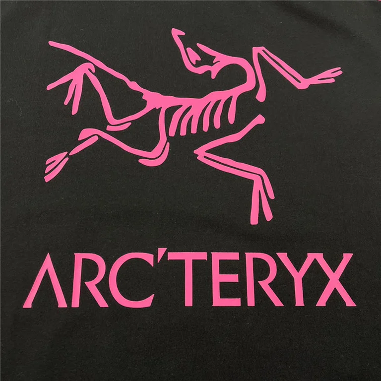 Arcteryx T Shirt