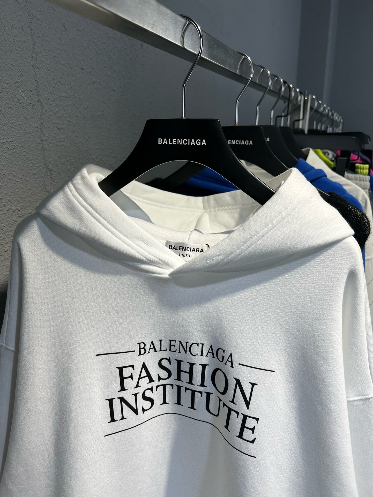 Ba1en*iaga Hoodie