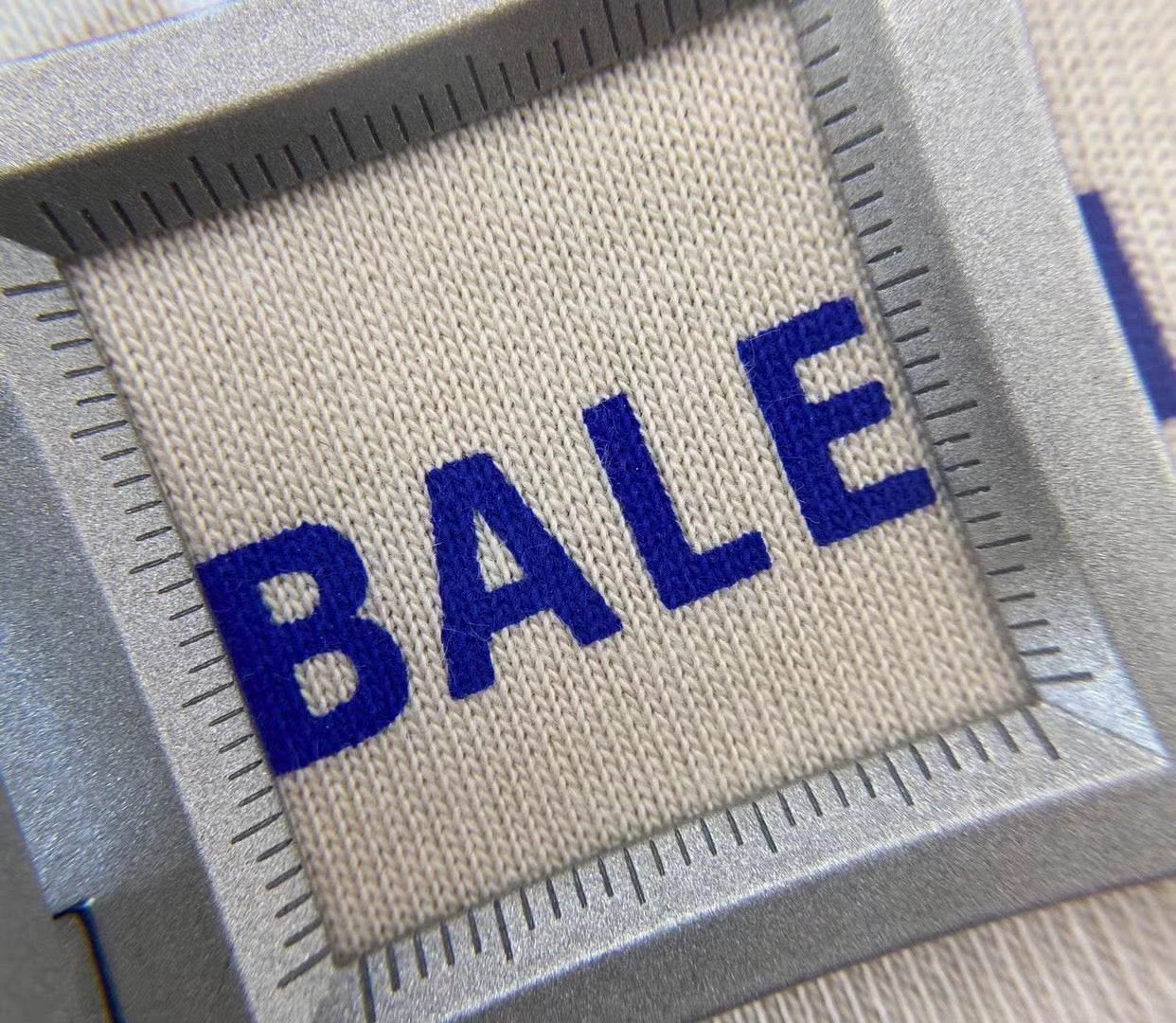 Ba1en*iaga T-shirt