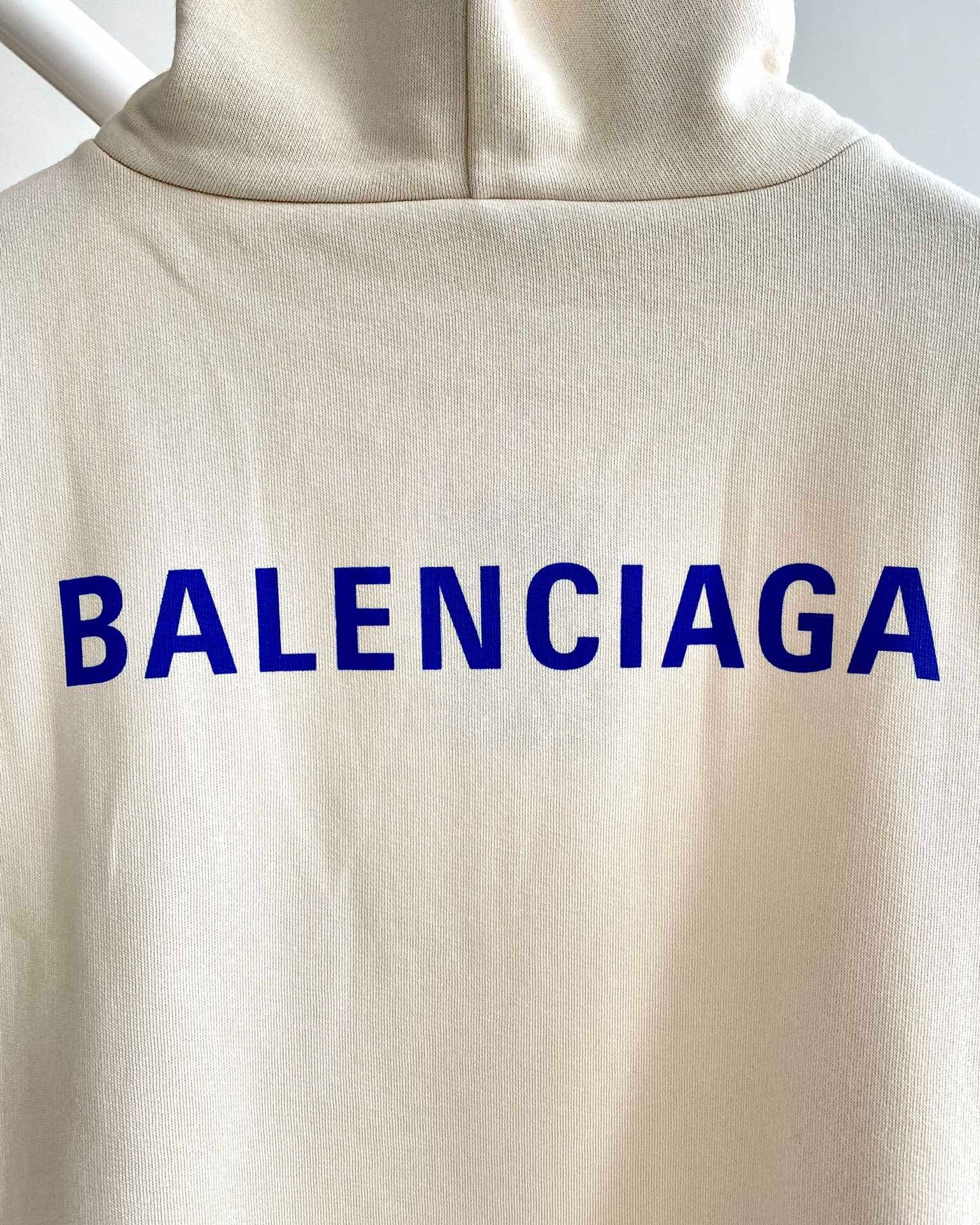 Ba1en*iaga Hoodie