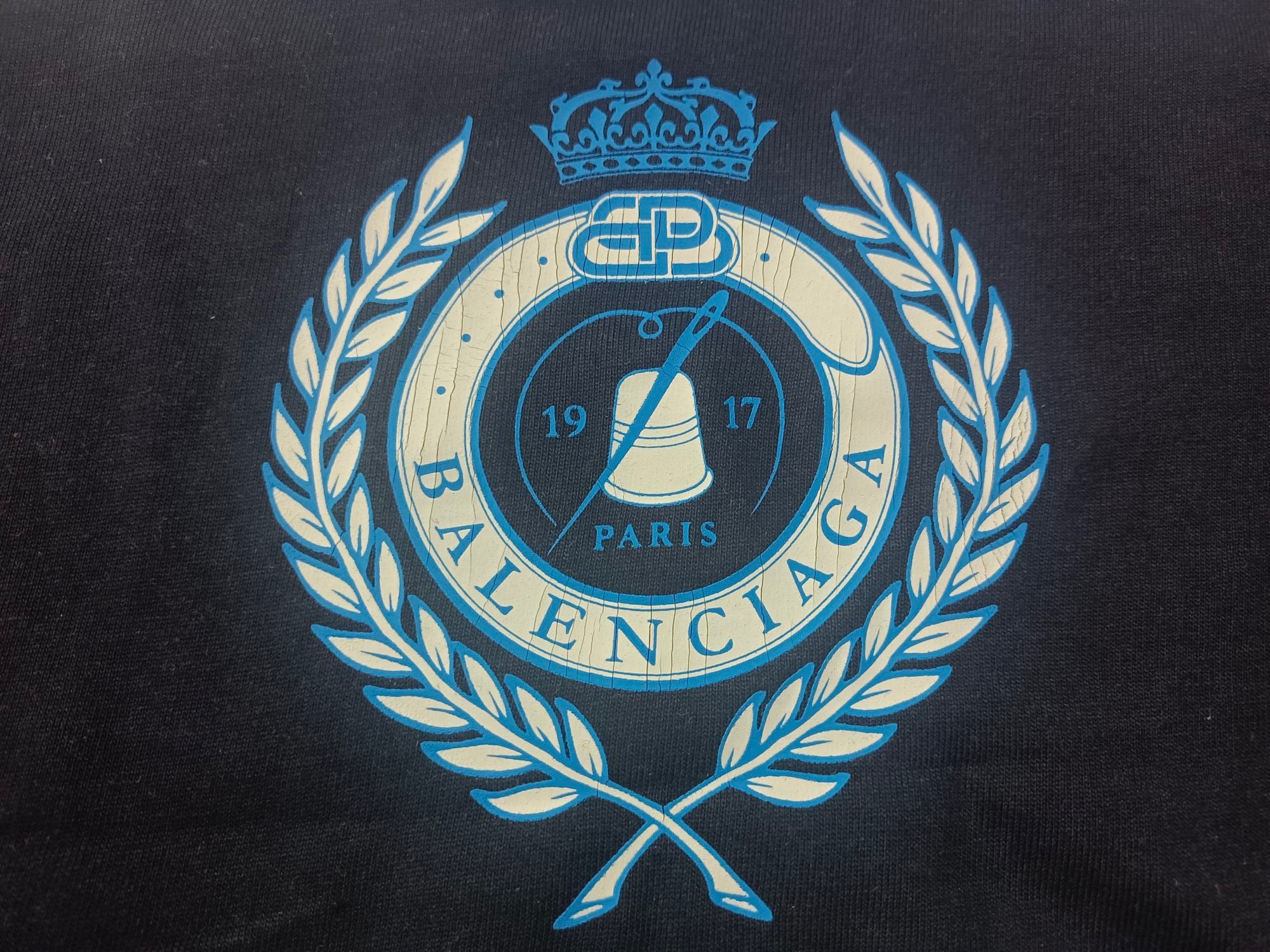 Ba1en*iaga T-shirt