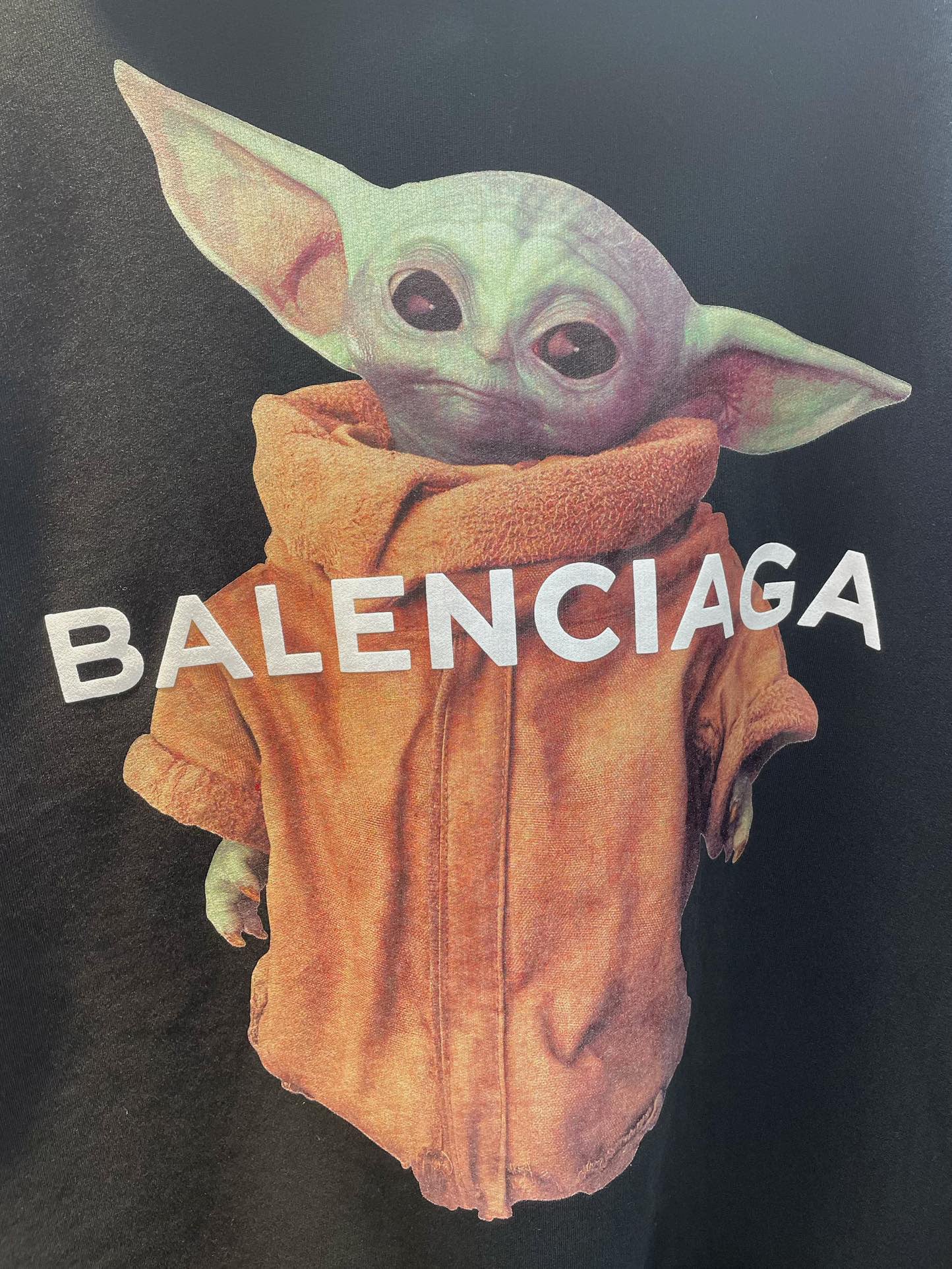 Ba1en*iaga Hoodie