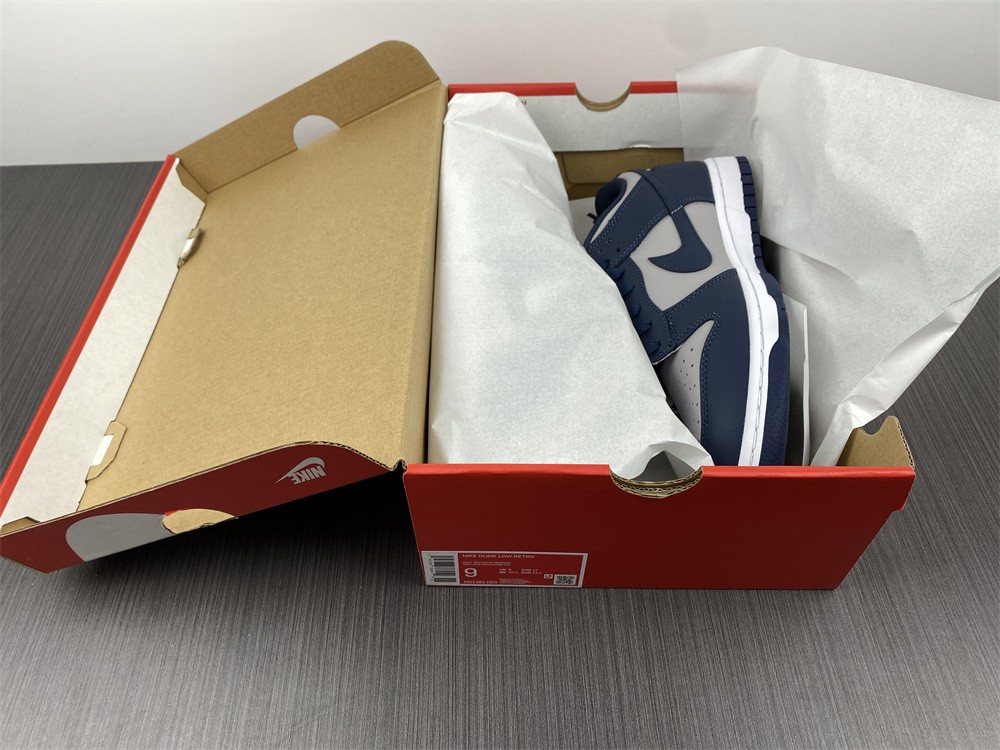 Nike Dunk Low DD1391-003