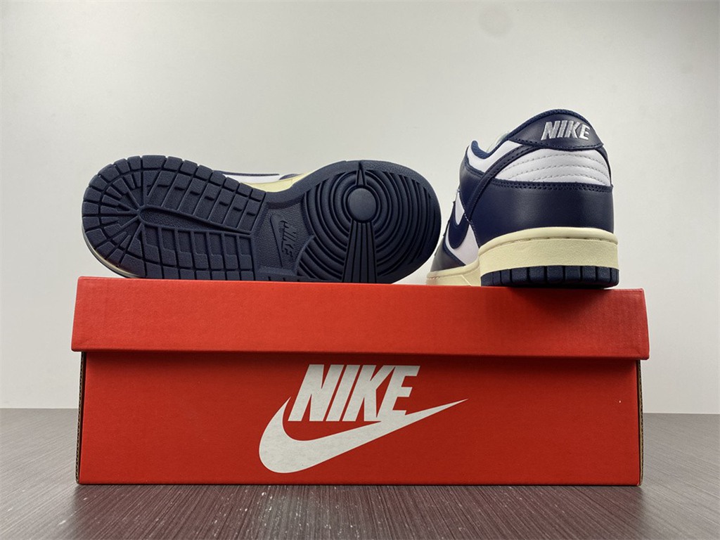 Nike Dunk Low DD1503-115