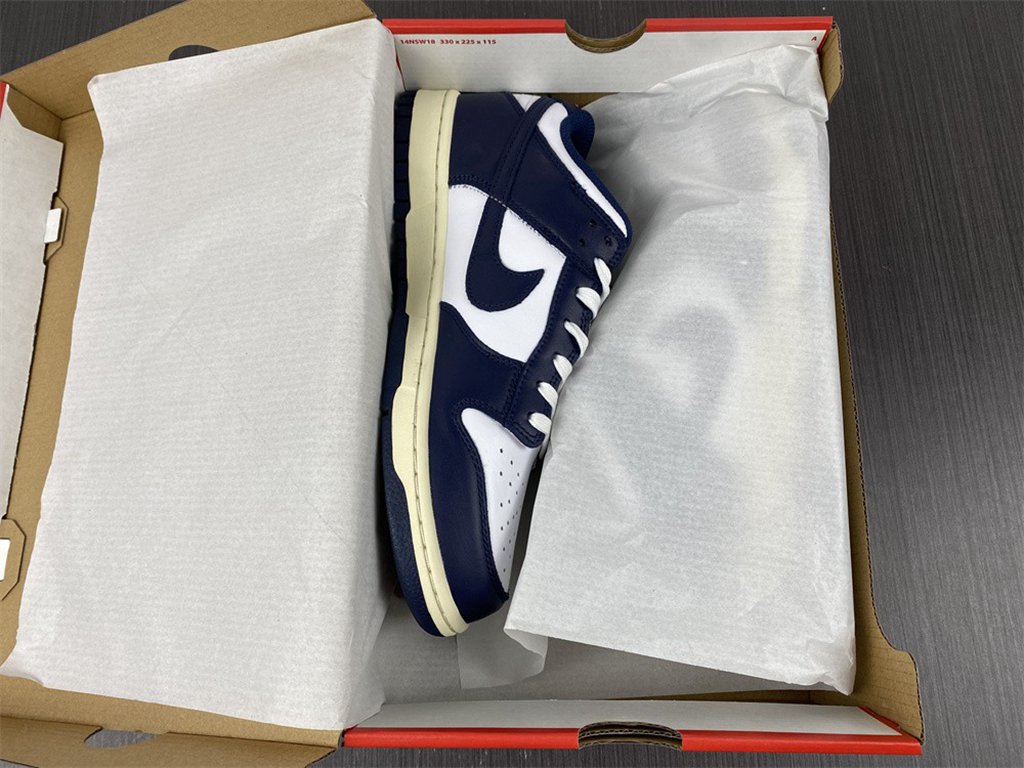 Nike Dunk Low DD1503-115