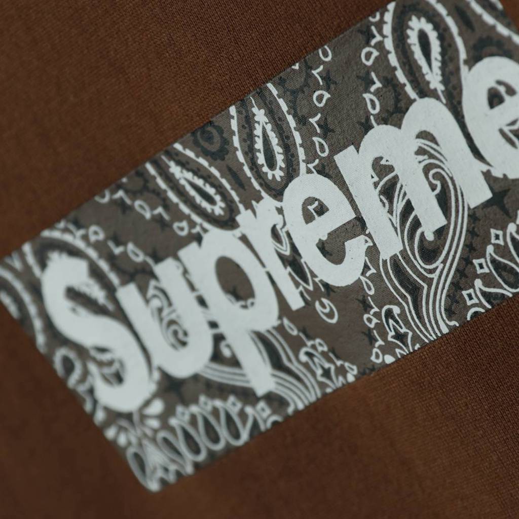 Svp*me 19FW Bandana Box Logo Tee