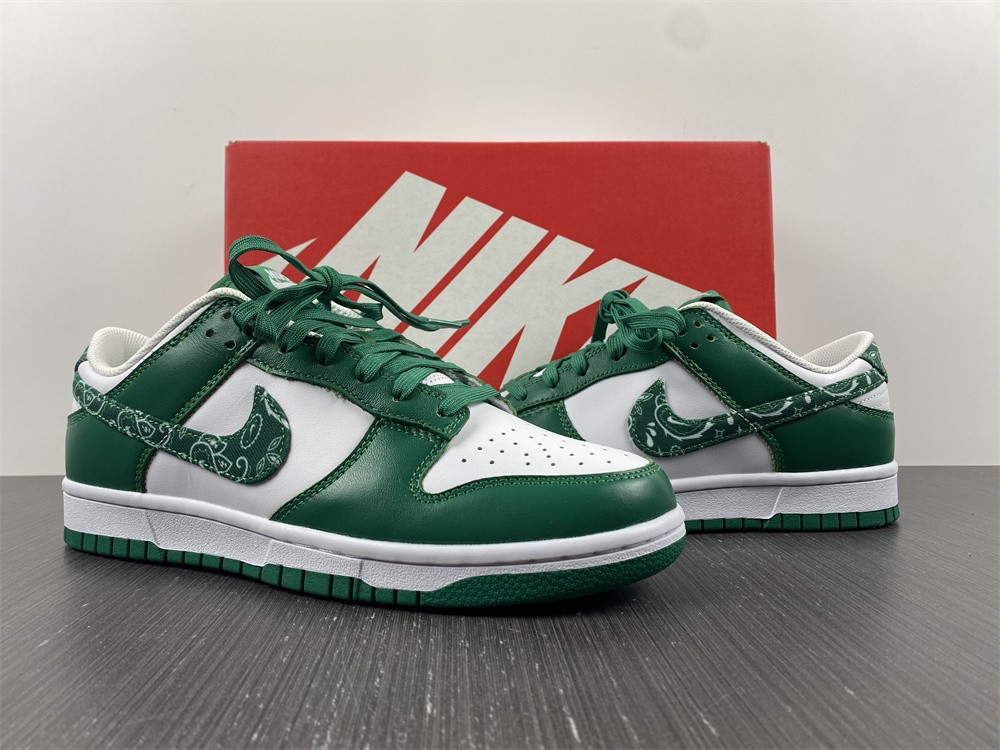 Nike Dunk Low SB DH4401-102