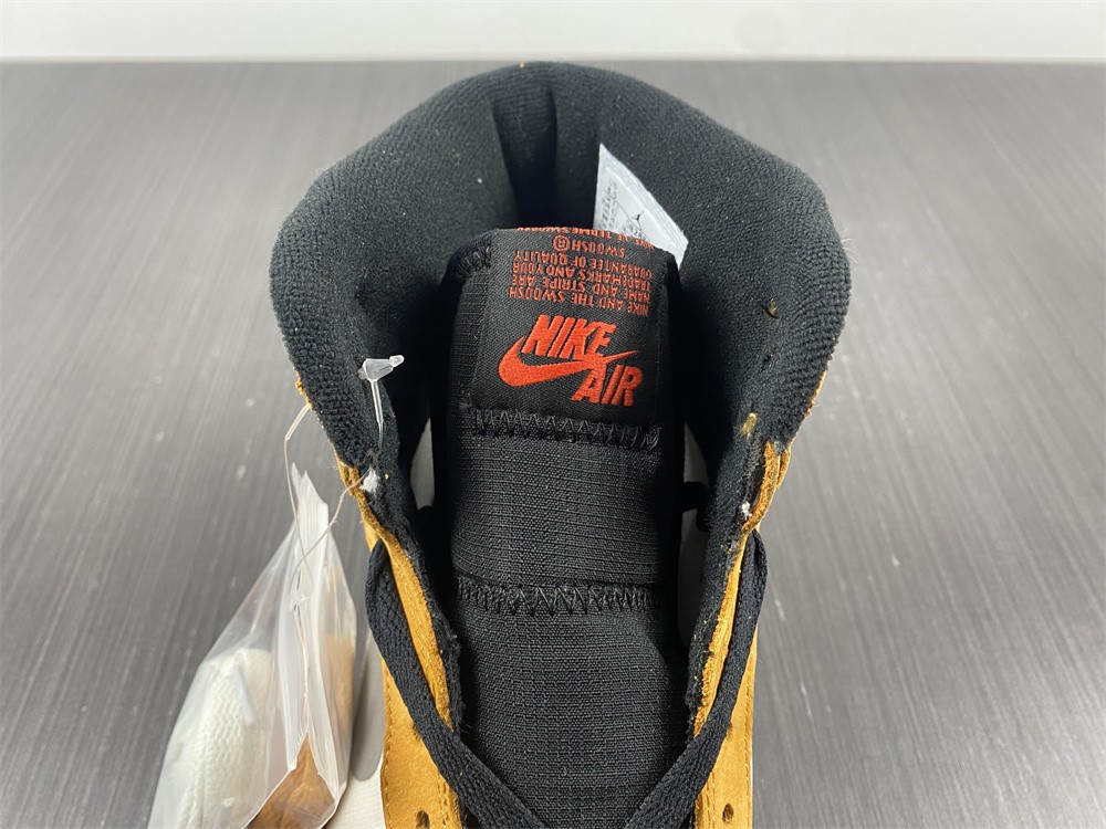 Air Jordan 1 Element DB2889-700