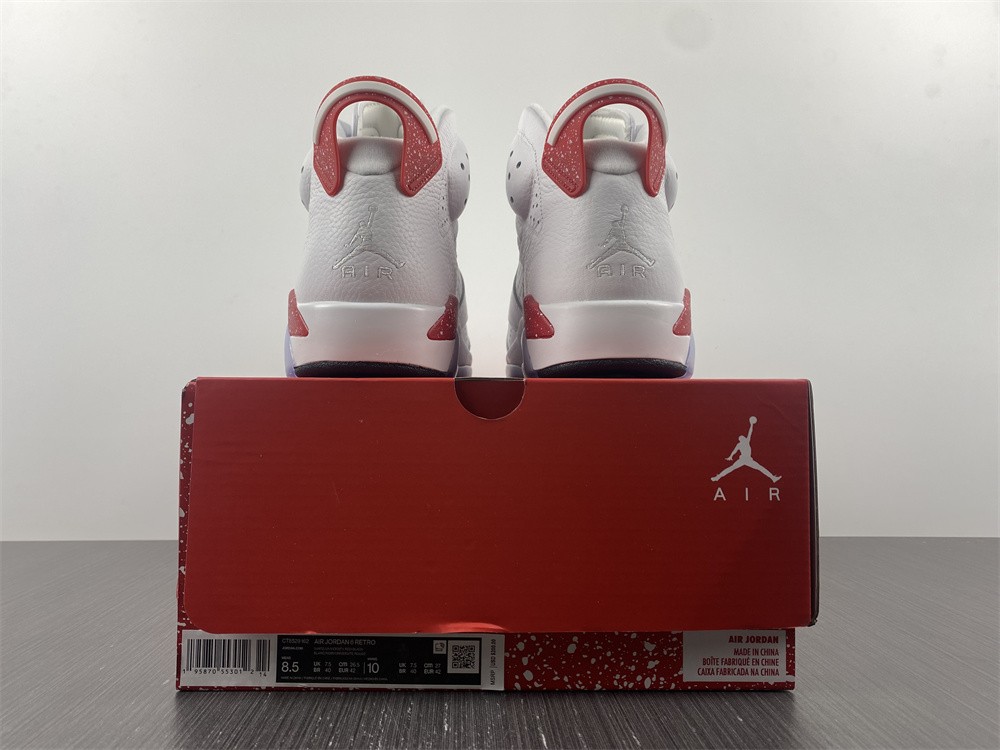 Air Jordan 6 Red Oreo CT8529-162