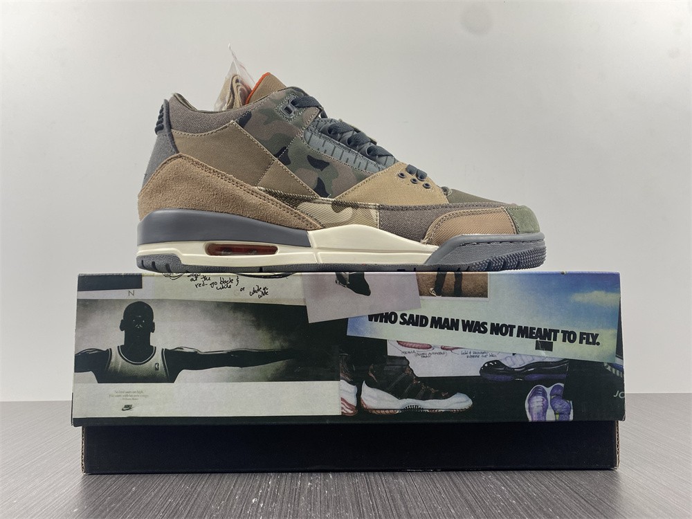 Air Jordan 3 Camo DO1830-200