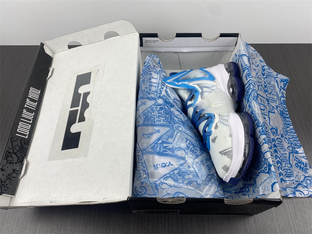 Nike Lebron 19
