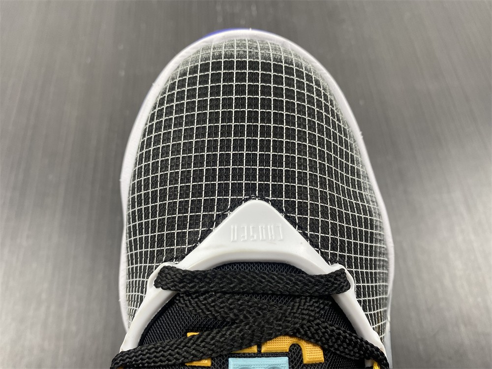 Nike Lebron 19