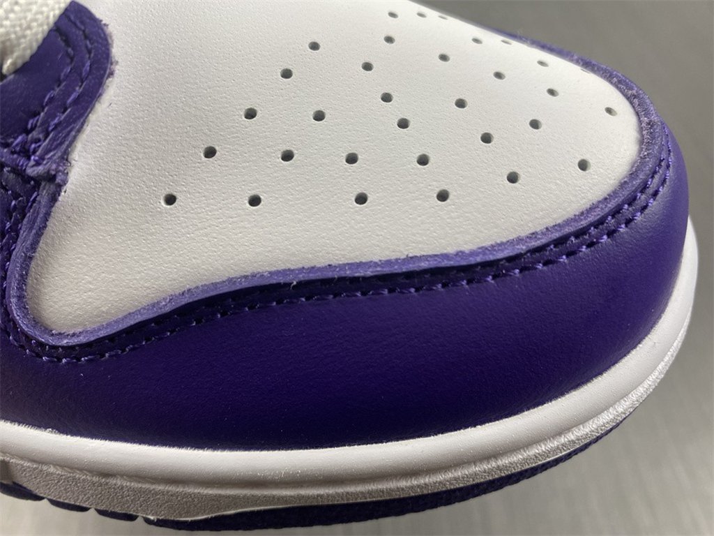 Nike Dunk Low Court Purple DD1391-104