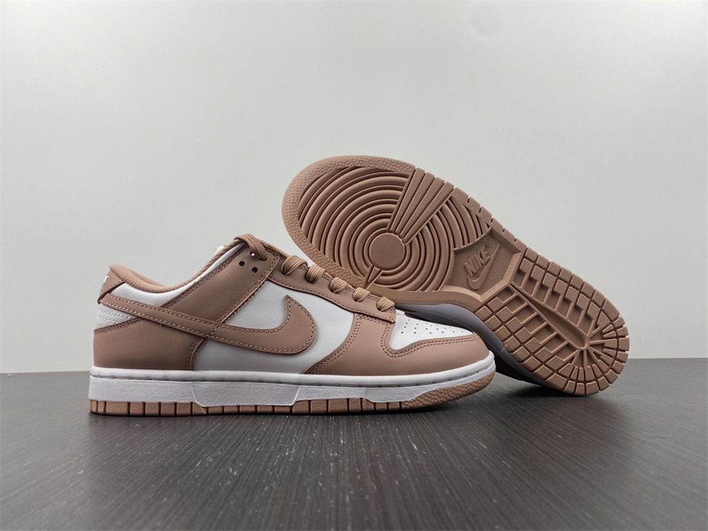 NK Dunk Low Retro DD1503-118
