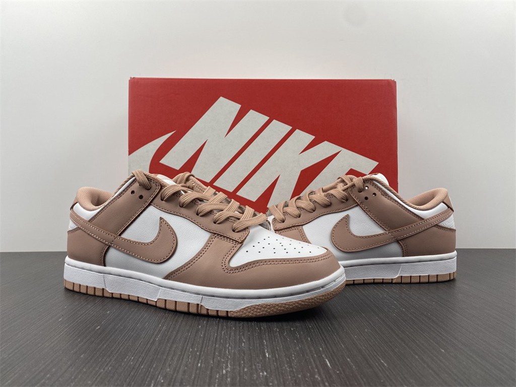 NK Dunk Low Retro DD1503-118