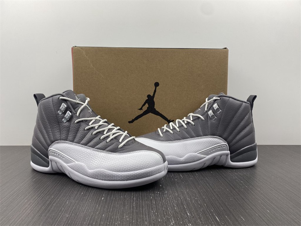 Air Jordan 12 STEALTH CT8025-610