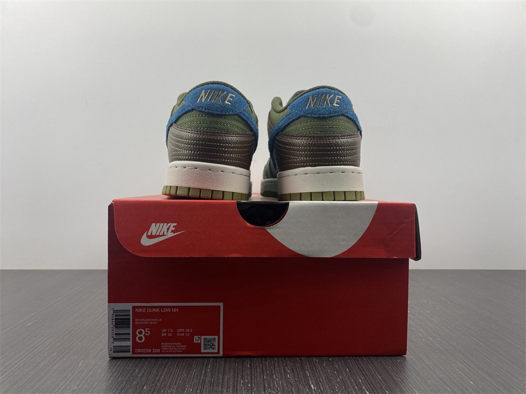 Nike Dunk DR0159-200