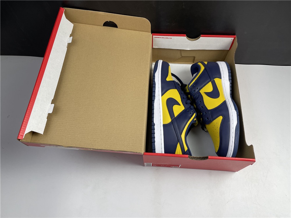NIKE Dunk Low DD1391-700