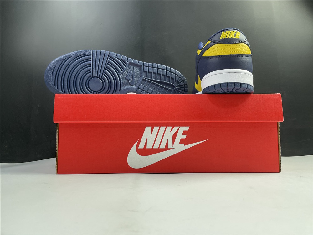 NIKE Dunk Low DD1391-700