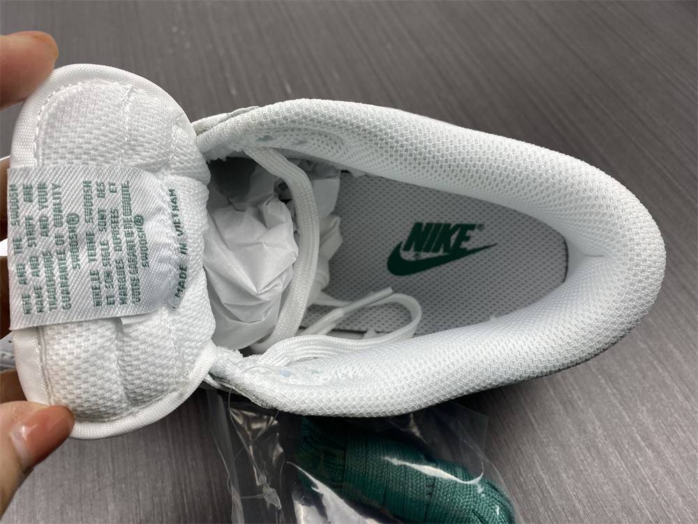 Nike Dunk Low DD1503-112