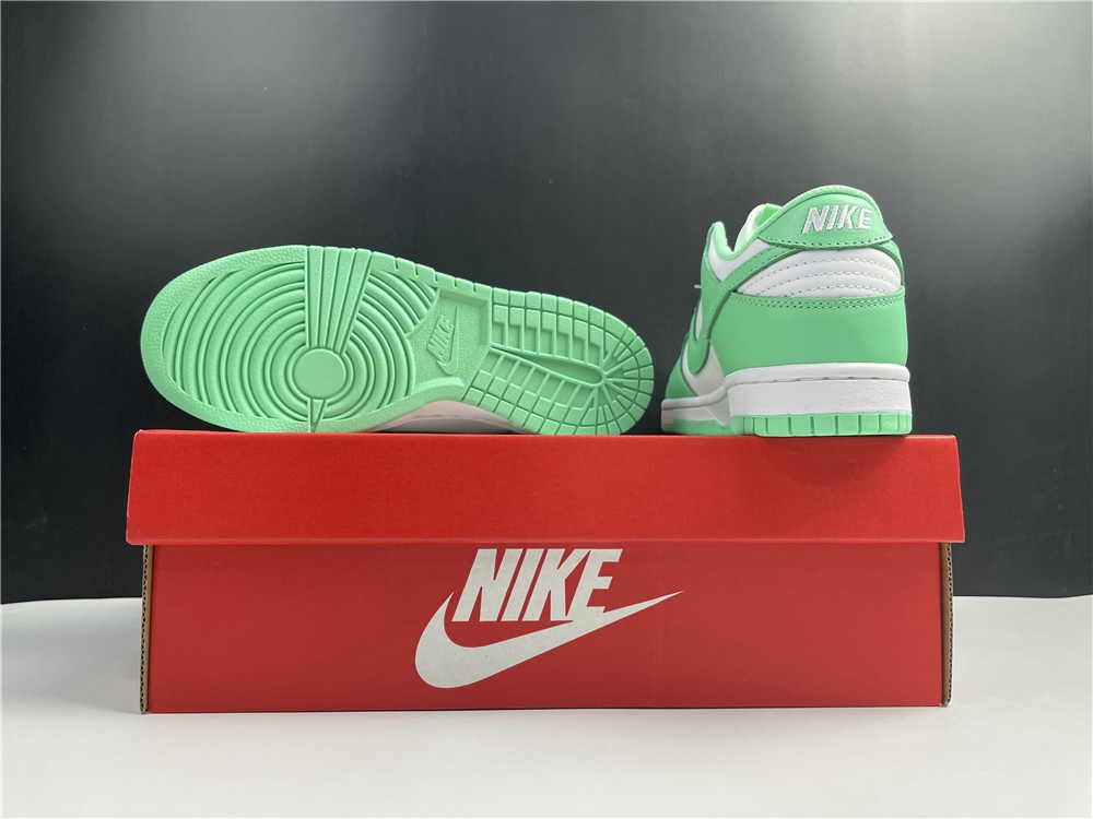 NIKE DUNK LOW DD1503-105