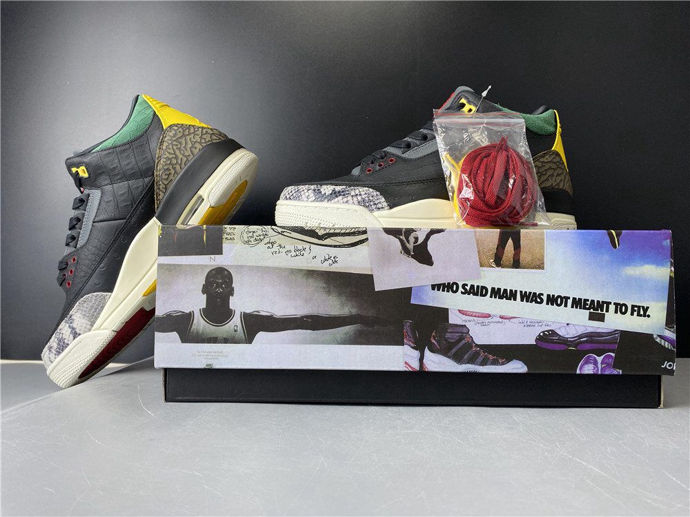 Air Jordan 3 SE Animal Instinct 2.0(CV3583-003)