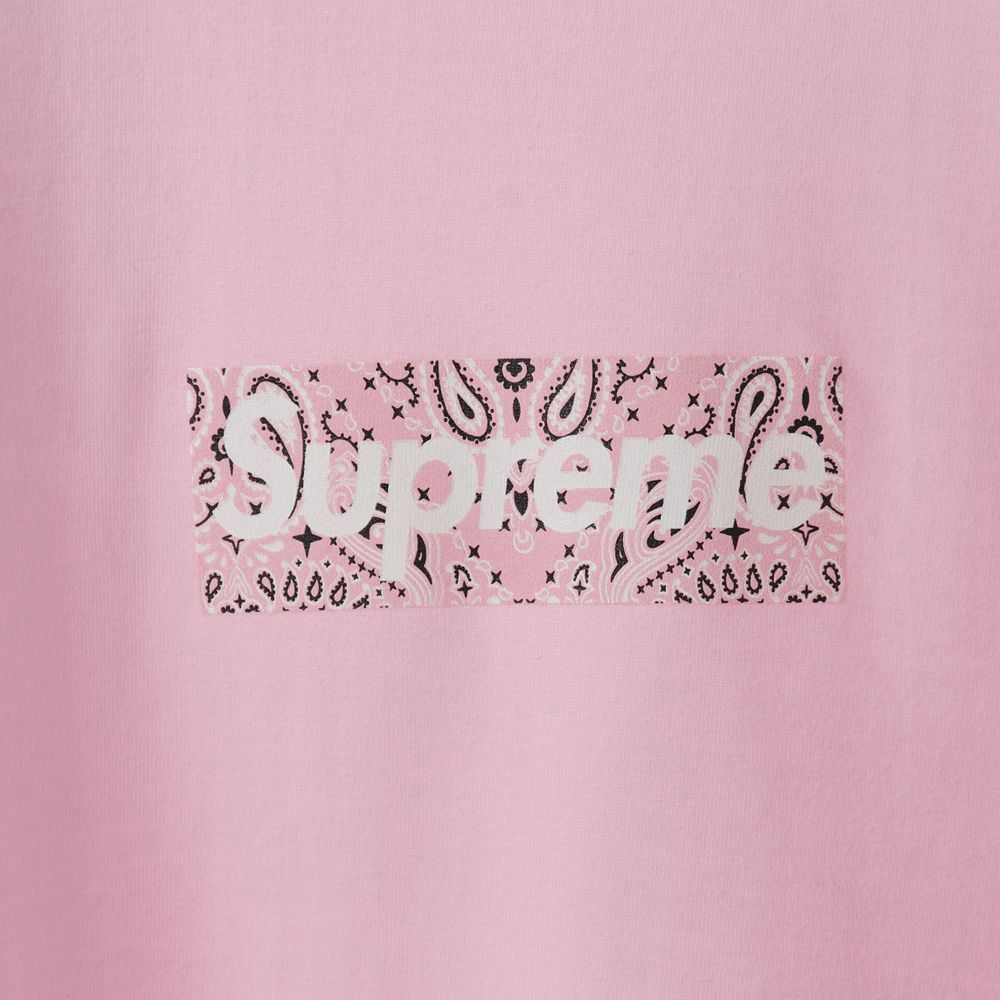Svp*me 19FW Bandana Box Logo Tee